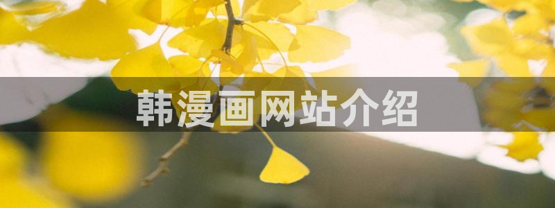 韩国免费漫画yy漫画