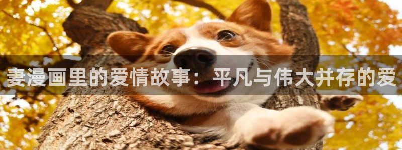 yy漫画免费读漫画下拉式