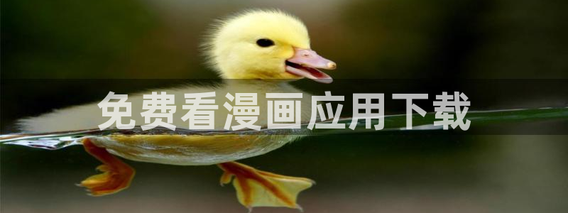 yy漫画视频