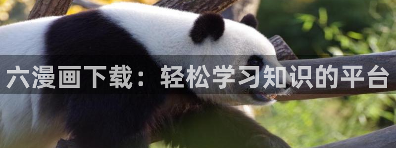 羞羞漫画yy漫画大全：六漫画下载：轻松学习知识的平台