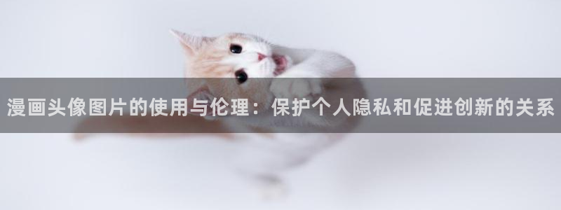 yy漫画渗透测试：漫画头像图片的使用与伦理：保护个人隐私和促进创新的关系