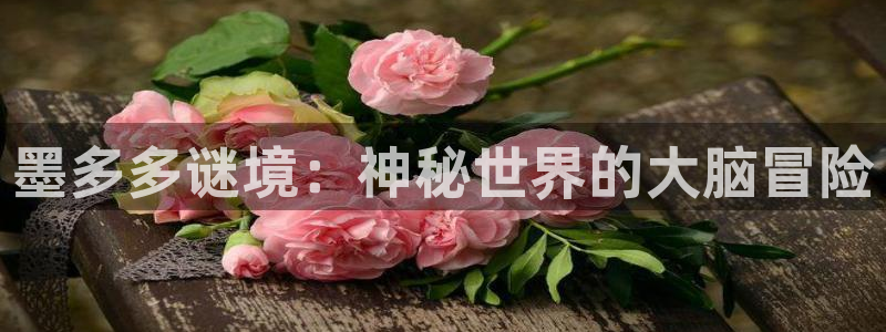 yy漫画在线阅读：墨多多谜境：神秘世界的大脑冒险