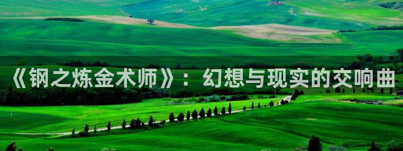 yy漫画汗汗：《钢之炼金术师》：幻想与现实的交响曲