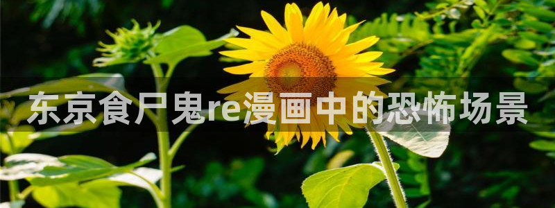 yy漫画免费下拉式：东京食尸鬼re漫画中的恐怖场景