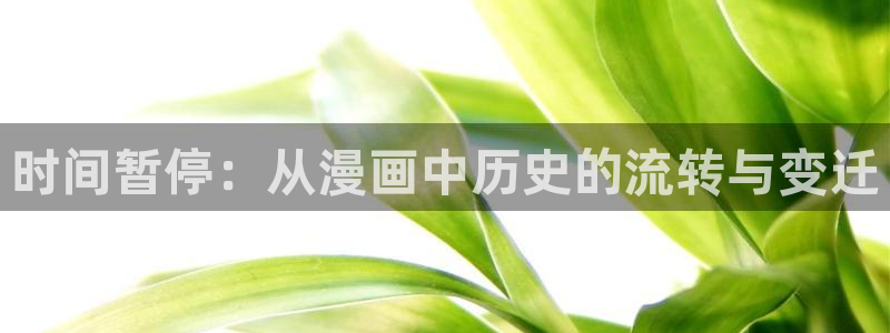 yy漫画渗透测试：时间暂停：从漫画中历史的流转与变迁