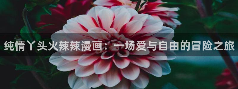 yy漫画免费漫画首页：纯情丫头火辣辣漫画：一场爱与自由的冒险之旅
